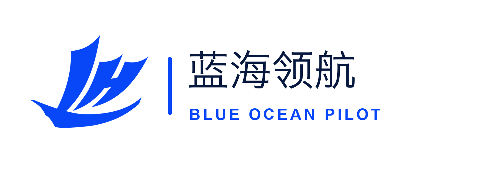 蓝海领航